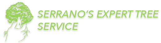 Serrano Tree Logo