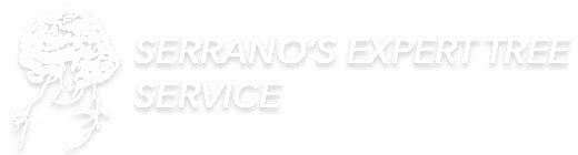 Serrano Tree Logo